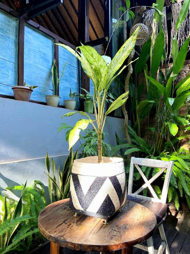 Balinese beaded basket box for plant vase