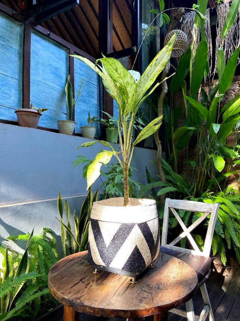 Balinese beaded basket box for plant vase