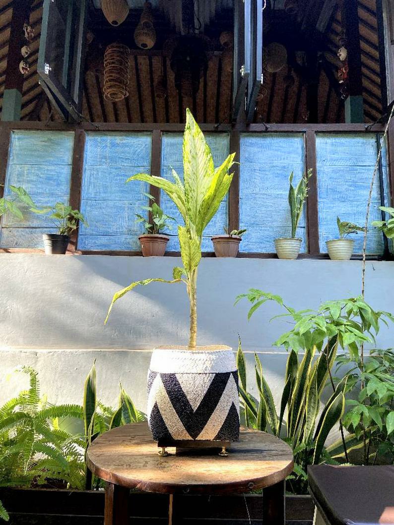 Balinese beaded basket box for plant vase