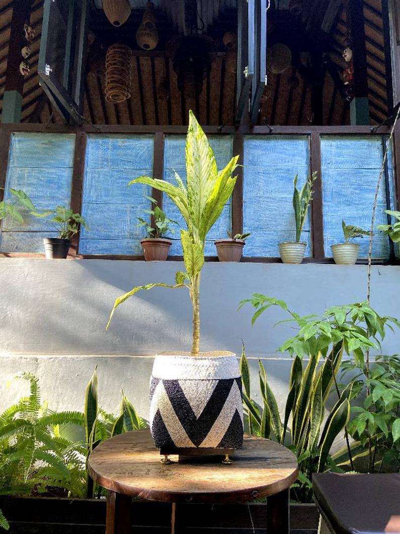 Balinese beaded basket box for plant vase