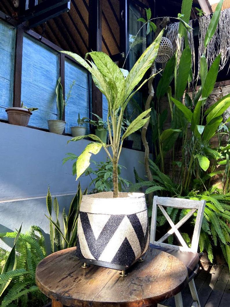 Balinese beaded basket box for plant vase